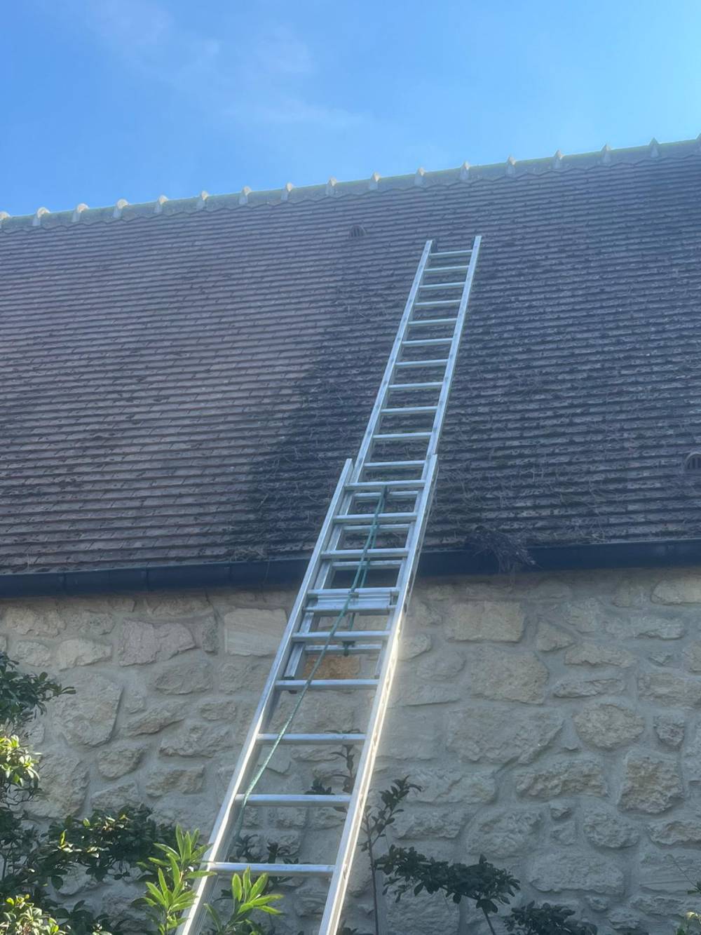 Démoussage toiture